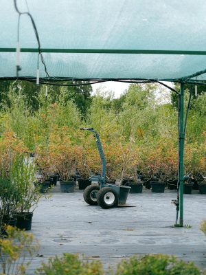 Garden cart parked near greenhouse in garden