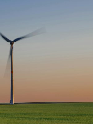 Windmill in green agricultural field in evening