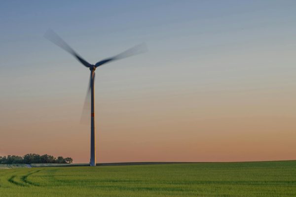 Windmill in green agricultural field in evening