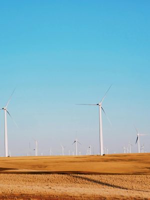 Windmills in dry field in summer day