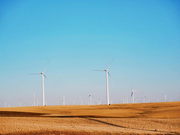 Windmills in dry field in summer day